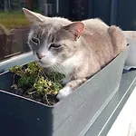 Charmante Maisonnee A La Campagne Дом отдыха La Garnache