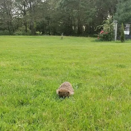 Charmante Maisonnee A La Campagne *