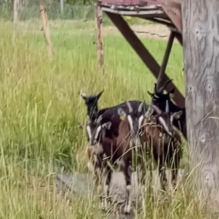 Charmante Maisonnee A La Campagne